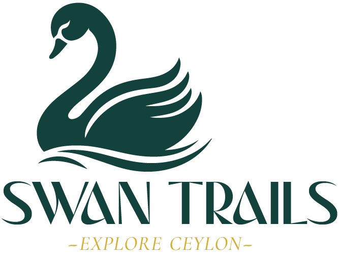 Swan Trails