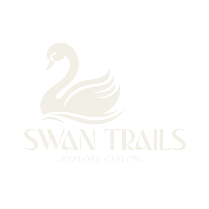 Swan Trails