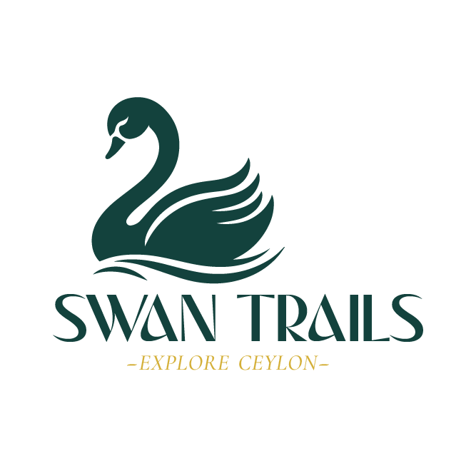 Swan Trails