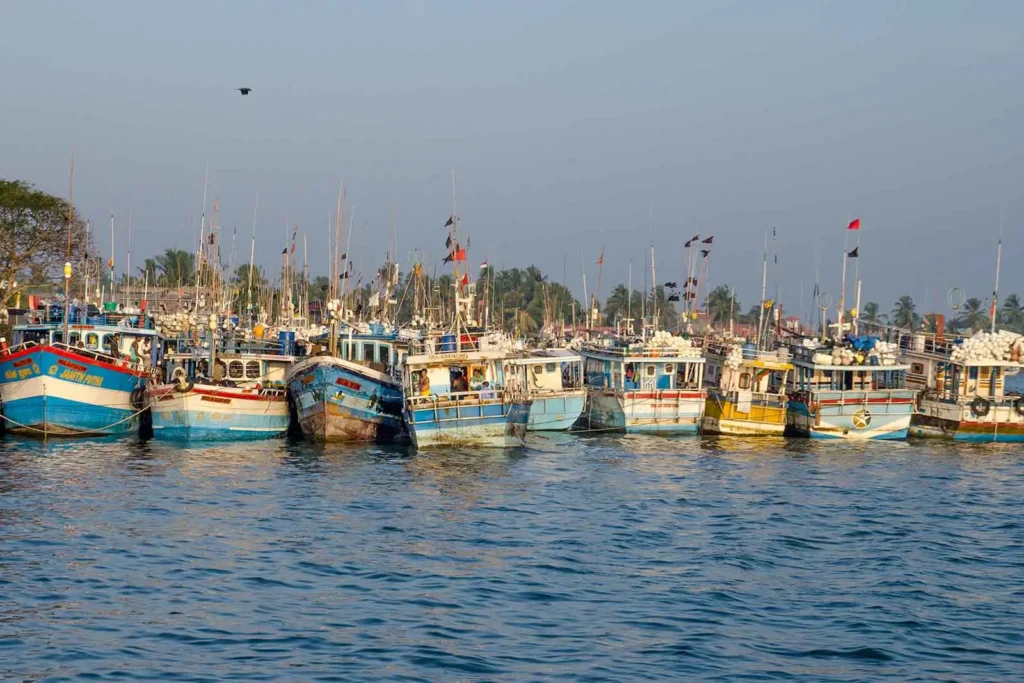 Negombo fishing boats