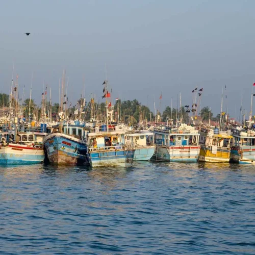 Negombo fishing boats