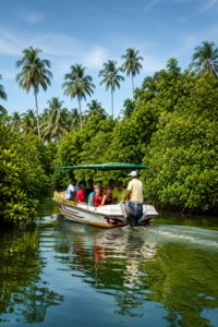 Negombo Lagoon boat ride Sri Lanka